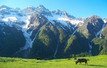 Memorable 11 Days 10 Nights Jim corbett Vacation Package