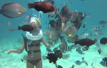 Best 6 Days 5 Nights Bali with Kintamani Tour Package