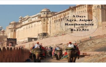 Family Getaway 5 Days 4 Nights Ranthambore, Jaipur and Rajasthan Holiday Package