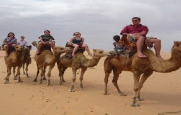 Jodhpur and Jaipur Tour Package from Jaipur