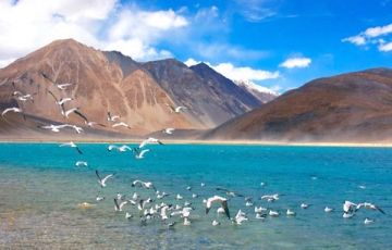 Ecstatic 5 Days 4 Nights Ladakh, Pangong Lake, Khardong la with Indus Valley Vacation Package