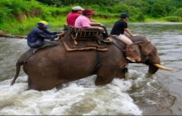 Experience 5 Days 4 Nights Pattaya with Bangkok Tour Package