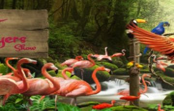 Memorable 6 Days 5 Nights Singapore with Cruise Star Gemini Holiday Package