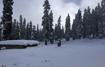 Magical 5 Days 4 Nights Srinagar, Gulmarg and Pahalgam Tour Package