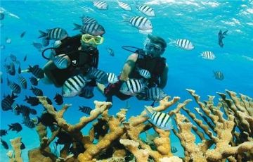 Experience 6 Days 5 Nights Port Blair, Havelock and Neil Island Vacation Package