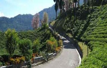 Magical 5 Days 4 Nights Darjeeling Tour Package