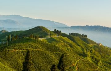 Beautiful 6 Days 5 Nights Gangtok, Tsomgo Lake with Darjeeling Trip Package