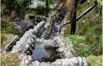 Experience 6 Days 5 Nights Sikkim, Gangtok, Kalimpong and Darjeeling Trip Package