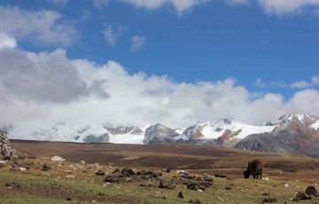 Pleasurable 6 Days 5 Nights Sikkim, Gangtok, Pelling and Darjeeling Holiday Package