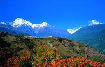 Magical 6 Days 5 Nights Gangtok and Pelling Tour Package