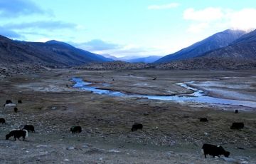 Heart-warming 7 Days 6 Nights Sikkim, Gangtok, Lachen with Yumthang Holiday Package