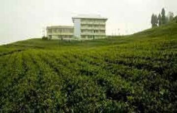 Best Gangtok Tour Package for 8 Days 7 Nights