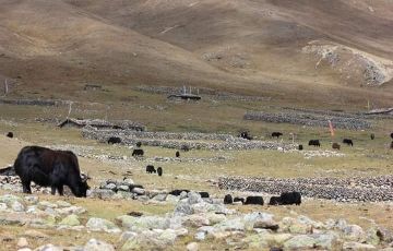 Memorable 10 Days 9 Nights Gangtok, Tsomgo Lake, Baba Mandir with Lachung Holiday Package