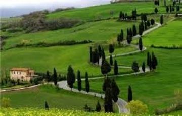 Best 8 Days 7 Nights Munnar Vacation Package