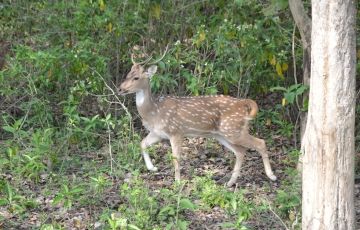 Memorable 7 Days 6 Nights Rishikesh Trip Package