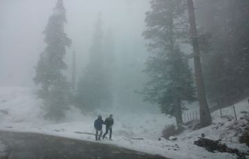 Srinagar Tour Package from Srinagar Airport