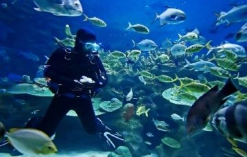 Memorable 7 Days 6 Nights Goa Vacation Package