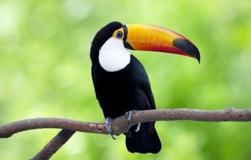 Heart-warming 3 Days 2 Nights Bharatpur Holiday Package