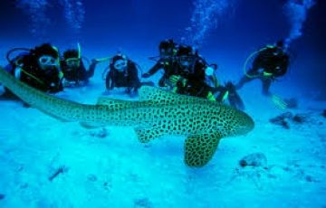 Magical 6 Days 5 Nights Andaman, Port Blair and Havelock Island Holiday Package