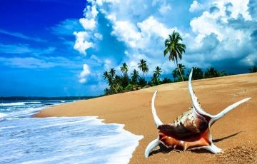 Andaman Package 6 Nights / 7 Days