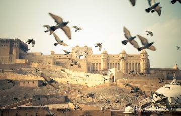 Pleasurable 3 Days 2 Nights Manali and Goa Trip Package