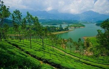 Heart-warming 8 Days 7 Nights Cochin, Munnar, Thekkady and Alleppey Holiday Package