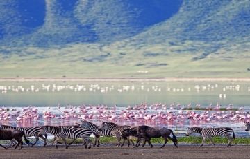 Magical 3 Days 2 Nights Arusha with Lake manyara Vacation Package