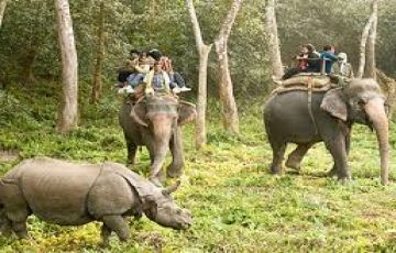 Beautiful 7 Days 6 Nights Dasada Trip Package