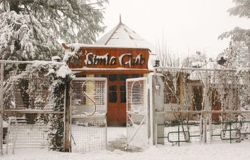 Family Getaway 4 Days 3 Nights Chail Holiday Package