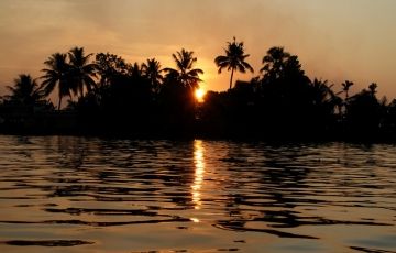 6 Days 5 Nights Cochin, Munnar, Thekkady with Allepey Vacation Package