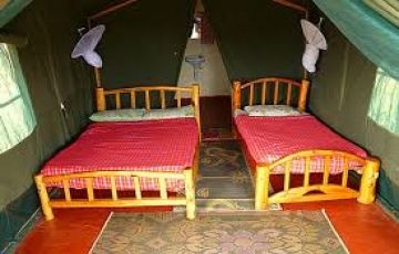 Best 3 Days 2 Nights Nairobi with Maasai Mara Tour Package