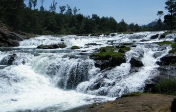 Pleasurable 4 Days 3 Nights Ooty and Coonoor Vacation Package