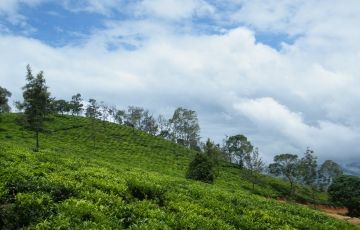 Pleasurable 4 Days 3 Nights Ooty and Coonoor Vacation Package