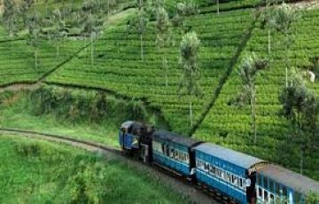 Experience 6 Days 5 Nights Coonoor, Ooty, Kodaikanal with Kodai Lake Trip Package