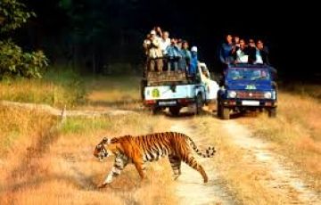 Heart-warming 3 Days 2 Nights Game drive 284 x 4 WD Jeeps29 Holiday Package