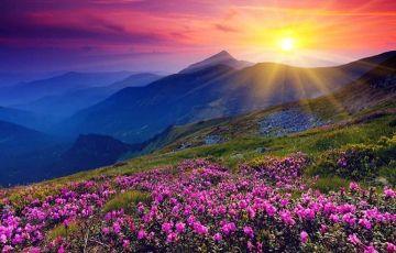 Amazing 6 Days 5 Nights Sriangar Vacation Package