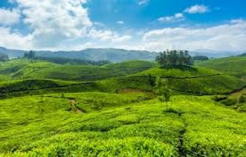 Family Getaway Munnar Tour Package for 3 Days 2 Nights