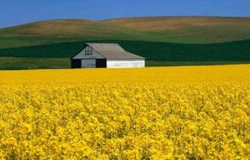 Memorable 8 Days 7 Nights Vaishnodevi, Katra, Srinagar with Pahalgam Trip Package