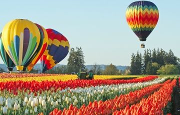 Experience 8 Days 7 Nights Pahalgam Vacation Package