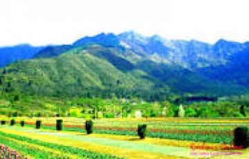 5 Days Jammu to Patnitop Holiday Package