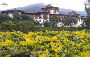 Experience 6 Days 5 Nights Paro, Thimpu with Punaka Tour Package