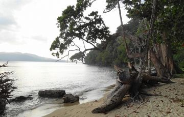 Memorable 5 Days 4 Nights Port Blair and Havelock Island Tour Package