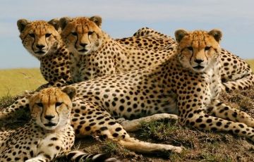 Beautiful Nairobi Tour Package for 8 Days 7 Nights