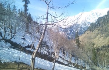Heart-warming 4 Days 3 Nights manali, kullu, naggar and rohtang pass Holiday Package