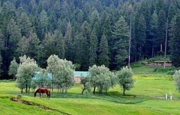 Beautiful 4 Days 3 Nights Srinagar, Gulmarg, Pahalgam with jammu and kashmir Holiday Package