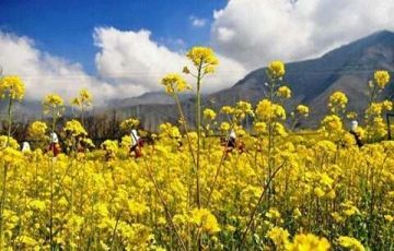 Beautiful 4 Days 3 Nights Srinagar, Gulmarg, Pahalgam with jammu and kashmir Holiday Package