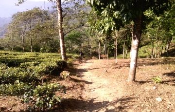 Teenchuley Tour Package for 4 Days 3 Nights