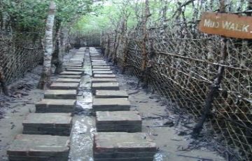 Beautiful 5 Days 4 Nights Burir Dabri Watchtower Tour Package