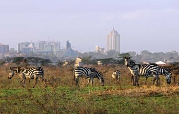 2 Days 1 Night Nairobi National Park Trip Package