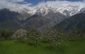 Memorable 6 Days 5 Nights Delh, Shimla, Manali with Kullu Holiday Package